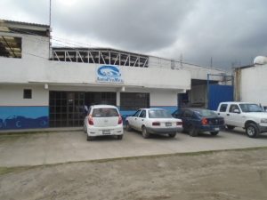 autopromex.jpeg