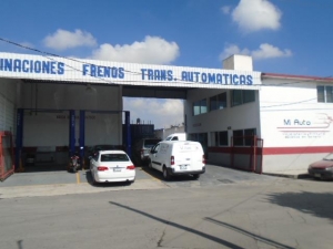 miauto.jpeg
